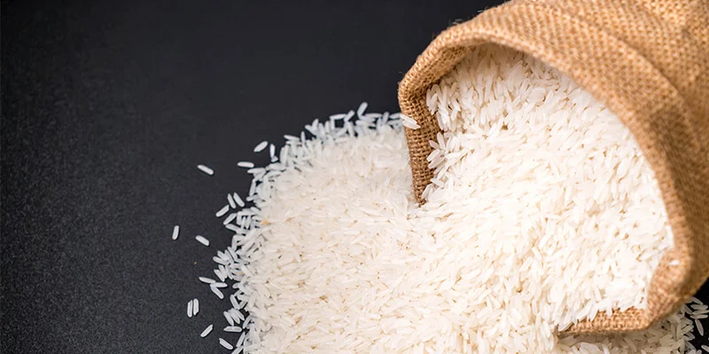 Rice